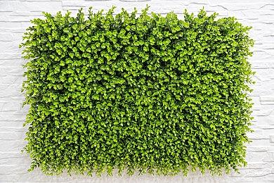 《二重螺旋》「狩夜测试」宣布定档2月20日 资格即将发放